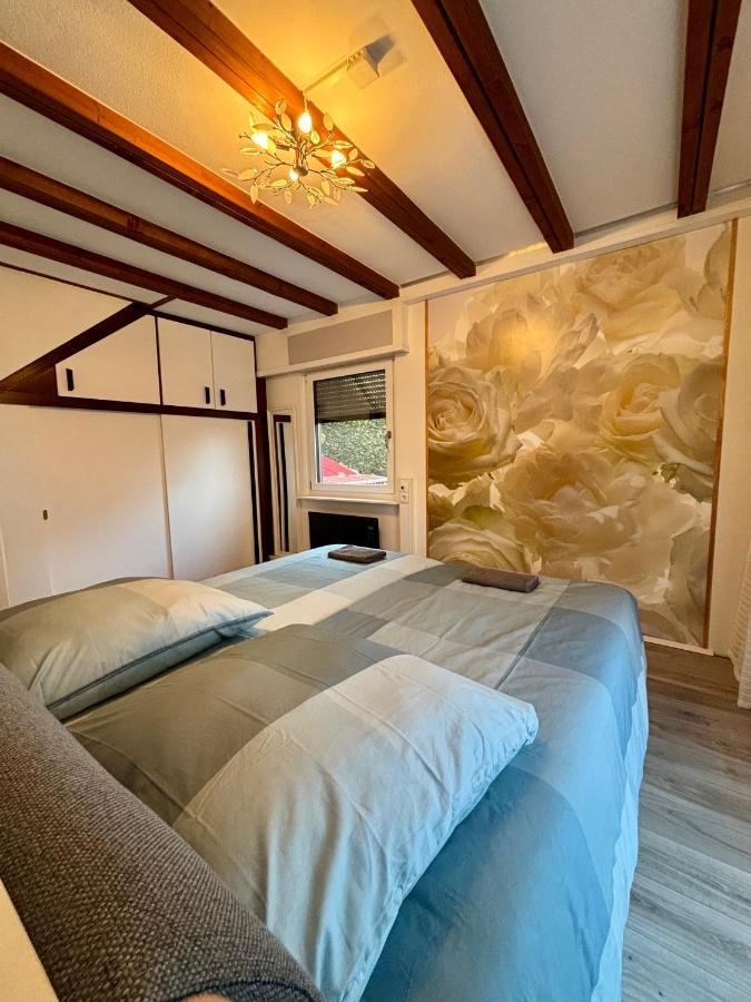 Ferienhaus Veronika Odenwald Brensbach Extérieur photo